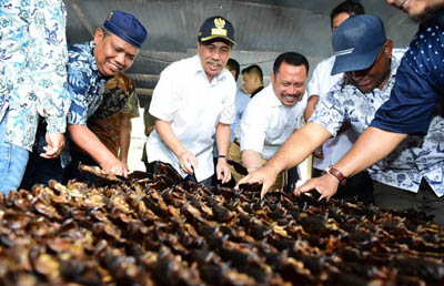Kunjungi Budidaya Ikan Patin di Desa Koto Masjid Kampar, Ini Kata Gubri